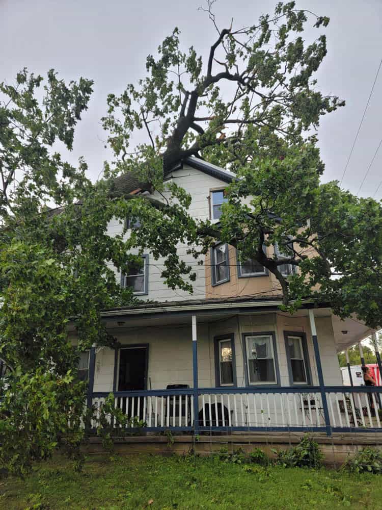 storm_house_tree